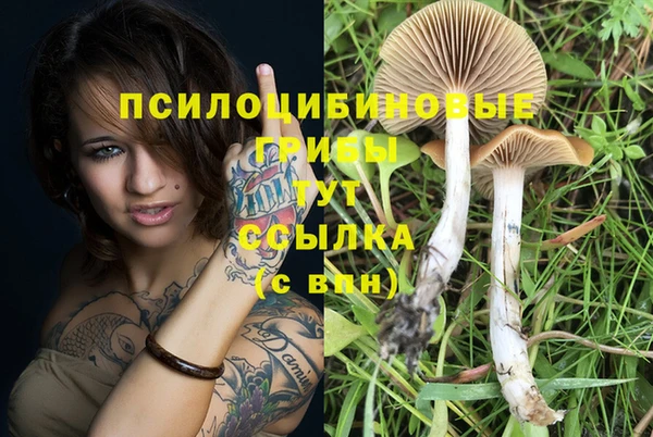 мдпв Лихославль