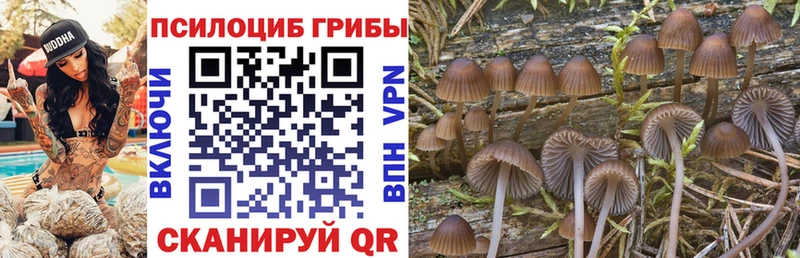 как найти наркотики  Южа  omg ТОР  Псилоцибиновые грибы прущие грибы 